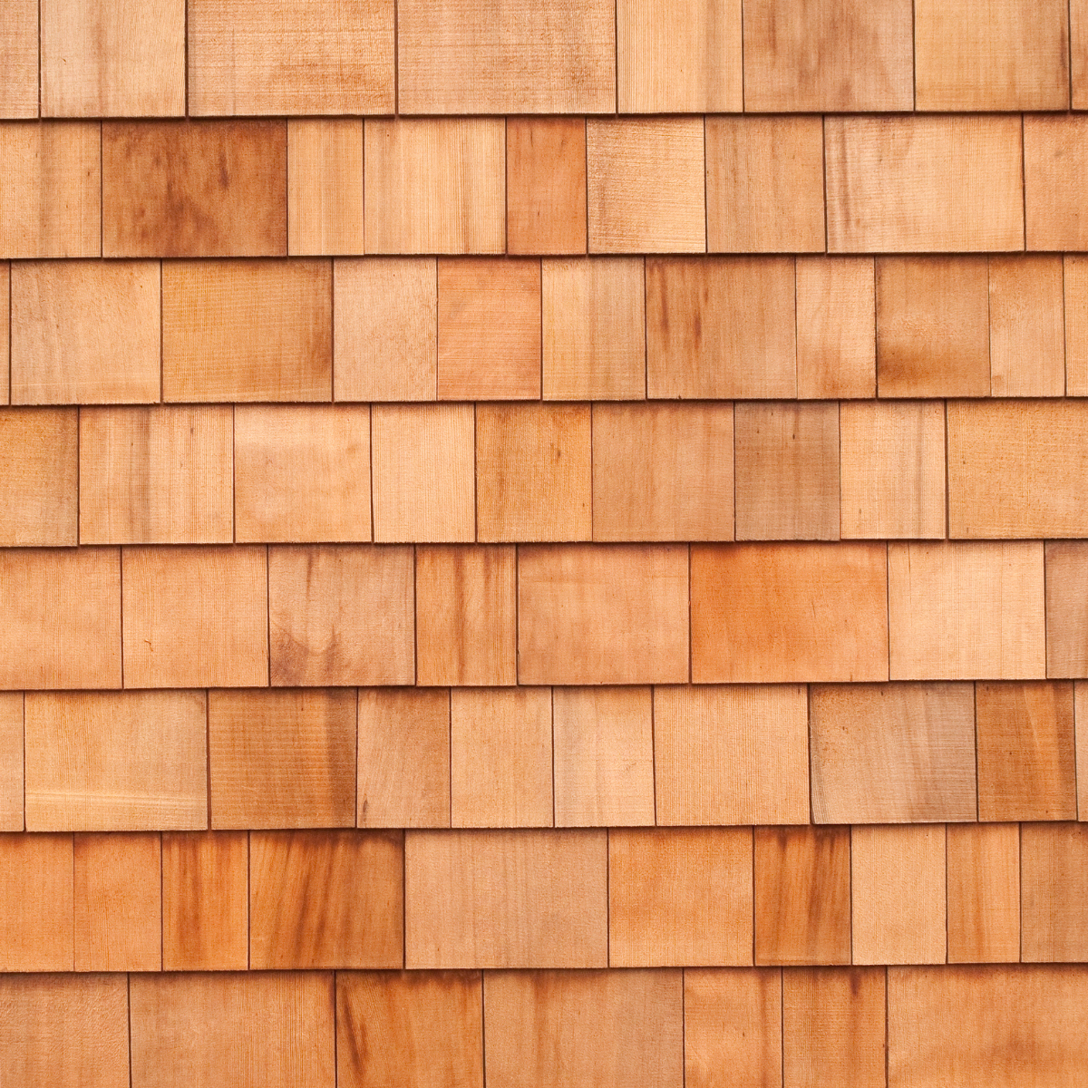 Stained Cedar Siding